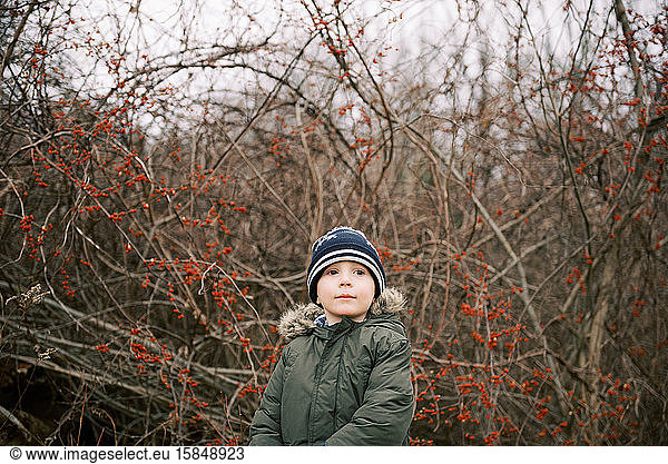 Little boy during a wintery nature walk.