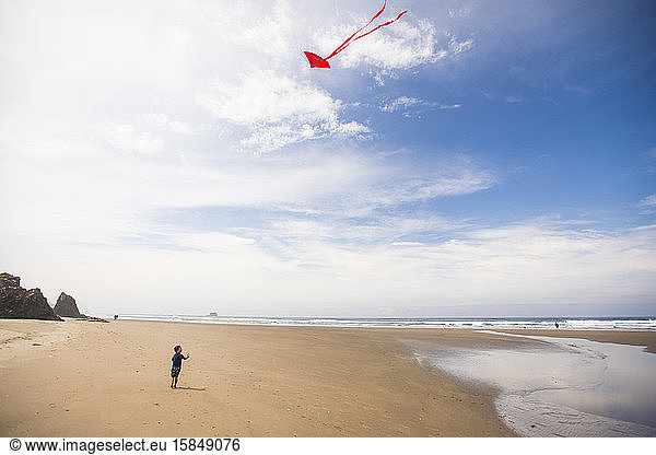 Little boy flies a kite on the beach