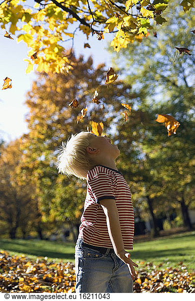 Little boy (4-5) playing with falling leaves