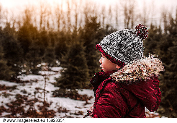 Little boy searching for his perfect Christmas tree on a winter day