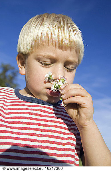 Little boy (4-5) smelling daisies  low angle view
