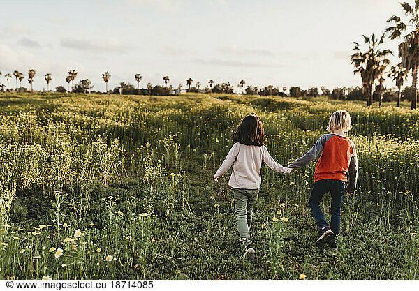 Little girl and boy holding hands walking away into a field