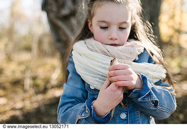 Little girl holding frog in forest