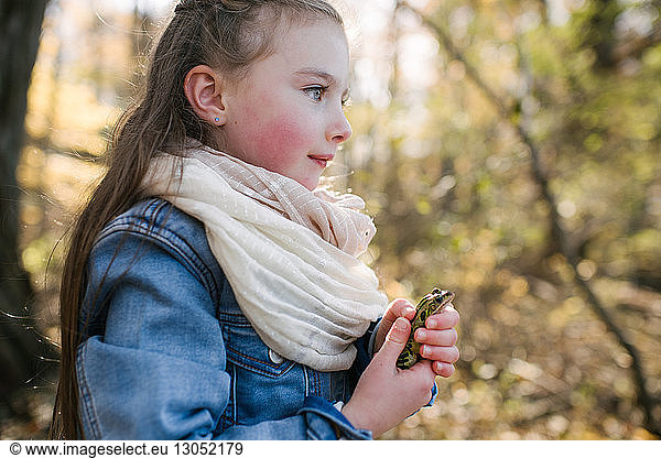 Little girl holding frog in forest
