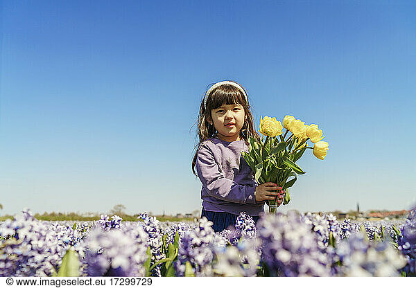 Little girl holding yellow tulips on hyacinth field