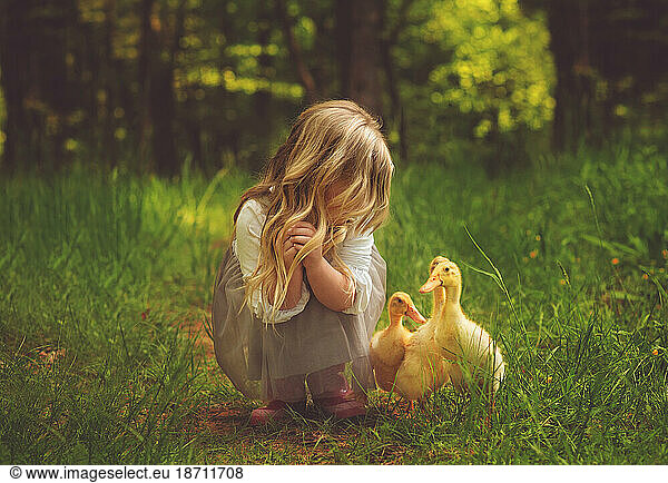 little girl in a field looking at ducklings