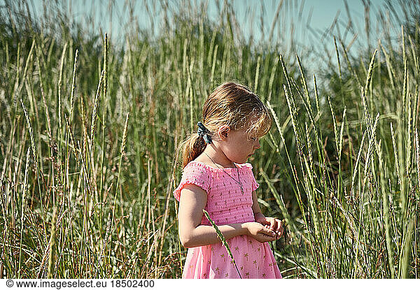 Little girl in tall grass in Iceland