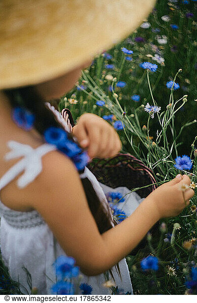 Little girl in the cornflower garden