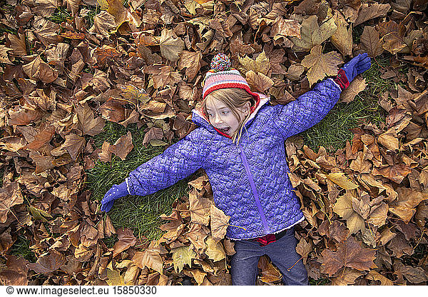 Little girl playing in the leaves in a park in Vienna  Austria.