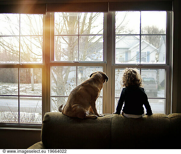 Little girl sitting on couch with Puggle dog