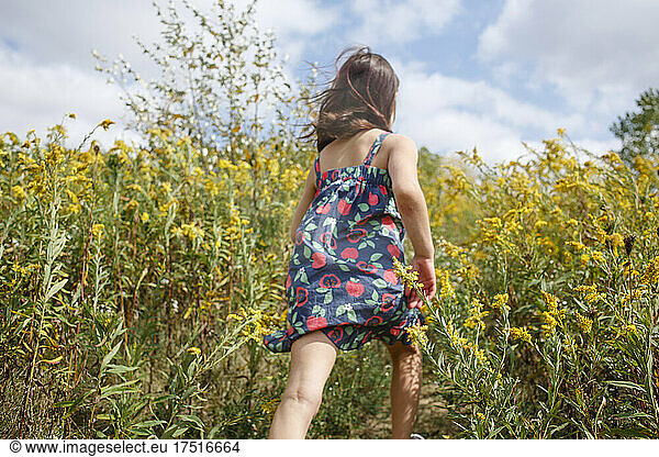 Little girl walks up hill through tall yellow wildflowers in summer