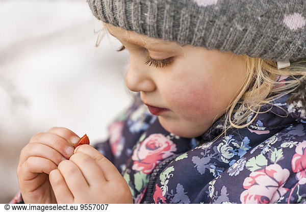 Little girl wearing wool cap and winter jacket looking at something in her fingers
