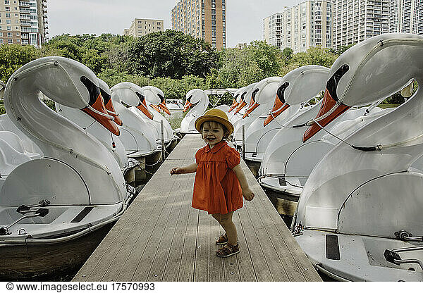 Little girl with swan boats
