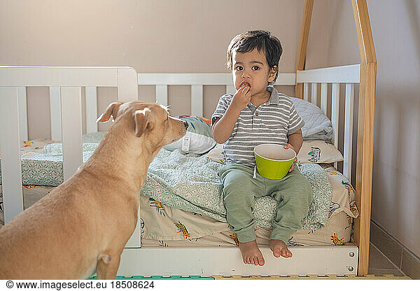 Little latin boy eating cookies accompanied by his mixed breed puppy