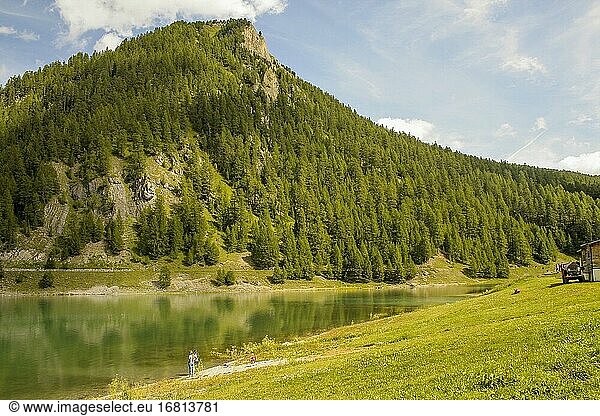 Livigno  Provinz Sondrio  Valtellina  Lombardei  Italien. Livigno (1816 m ü.d.M.)  zollfreies Gebiet  ist Teil der Berggemeinde Alta Valtellina und ein Winter- und Sommerferienort in den Alpen. Panoramablick auf den Livigno-See (Lago di Livigno).