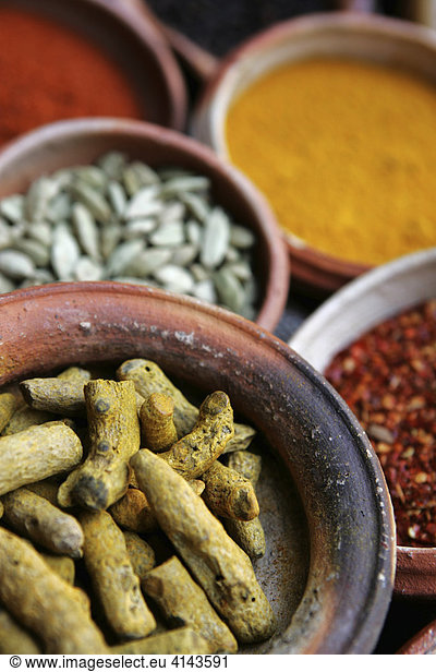LKA  Sri Lanka : Siddhalepa Ayurveda Resort   herbs  spieces for the ayurvedic cuisine.