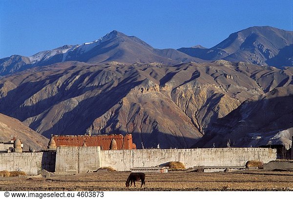 Lo mantang walled city Mustang Nepal