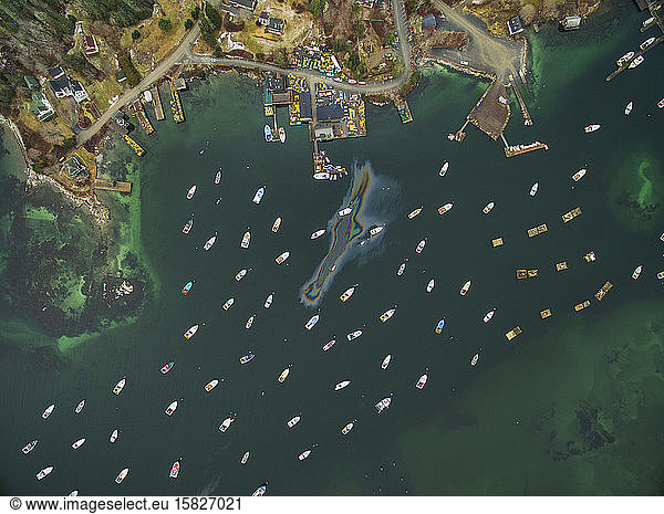 Lobster Boats in a Maine Harbor from Above