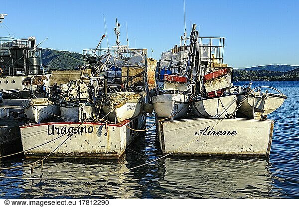Local fishing boats moored side by side in Mediterranean harbour  Portoferraio  Elba  Tuscany  Italy  Europe