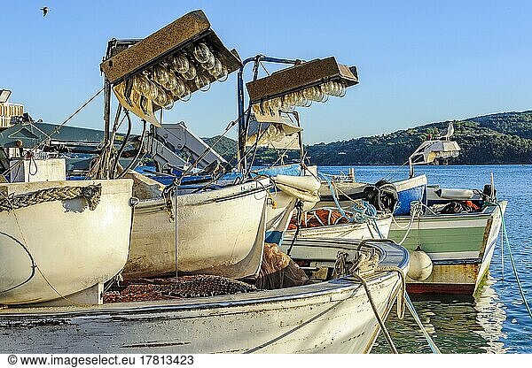 Local fishing boats with lamps with traditional light bulb bulbs for night fishing at night in harbour of Mediterranean Sea  Portoferraio  Tuscany  Italy  Europe