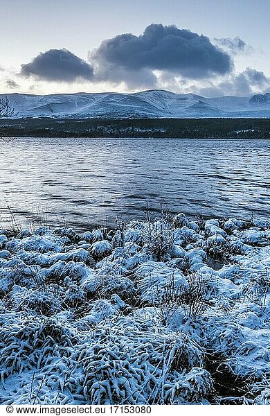 Loch Morlich im Schnee im Winter  Glenmore  Cairngorms National Park  Schottland