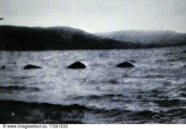 Loch Ness  See  Monster  Ungeheuer  Nessie  Fotografie  Schwarz-Weiß-Foto  historisches Foto  Archivaufnahme  Highlands  Hochland  Schottland  Großbritannien  Europa