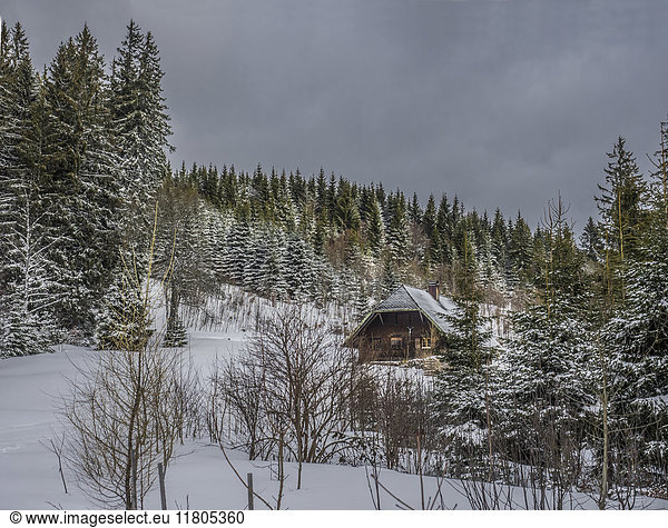 Log cabin on snowcapped mountain by coniferous trees against sky