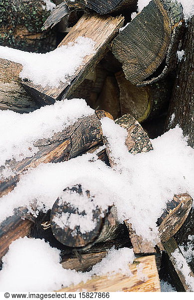 Logs of wood covered in snow.