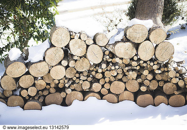 Logs on snow covered field in forest