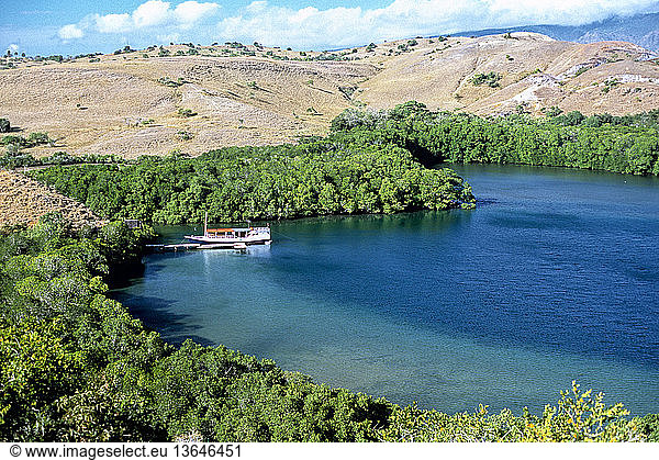 Loh Buaya harbor with fringing mangroves and savanna in the distance. Komodo National Park  Rinca Island  Flores  West Manggarai  East Nusa Tenggara  Indonesia. Komodo National Park is a World Heritage site.