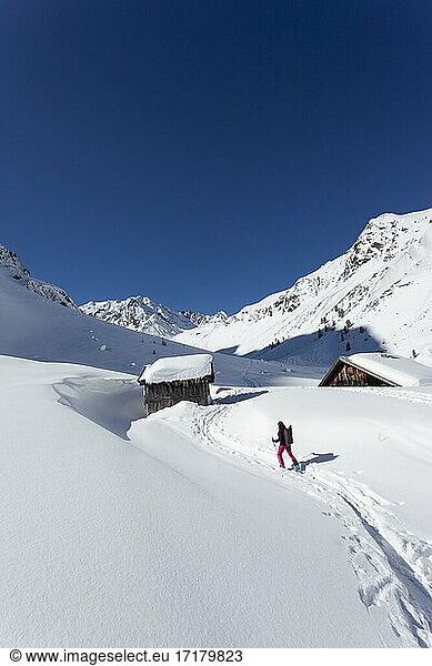 Lonely ski tourer  touring area Westfalenhaus  Sellrain  Tyrol  Austria  Europe