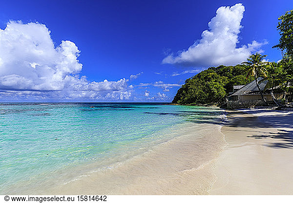 Long Bay Beach  wunderschöner weicher weißer Sand  türkisfarbenes Meer  Palmen  Antigua  Antigua und Barbuda  Leeward-Inseln  Westindische Inseln  Karibik  Mittelamerika