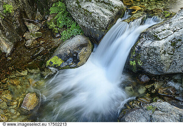 Long exposure of clear mountain stream in Cottian Alps