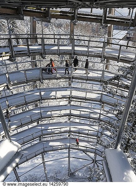 Look out of the Canopy Walkway of the visitor center of the National Park Bavarian Forest (Bayerischer Wald) in Neuschoenau in the deep of winter. Europe  Germany  Bavaria  January