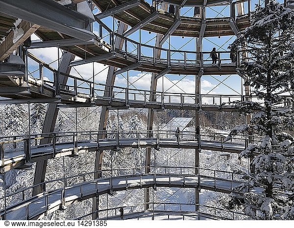Look out of the Canopy Walkway of the visitor center of the National Park Bavarian Forest (Bayerischer Wald) in Neuschoenau in the deep of winter. Europe  Germany  Bavaria  January