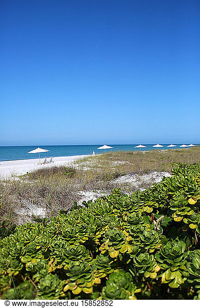 Looking Across A Gulf Coast Florida Beach