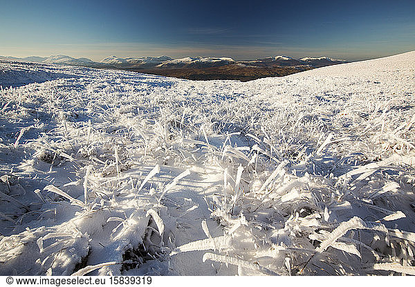 Looking across hoare frosted grass on the Helvellyn Range  Lake District  UK.