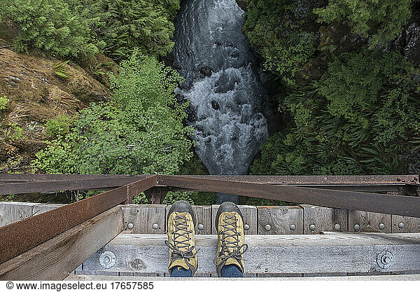 Looking down from a bridge on the Hoh river trail