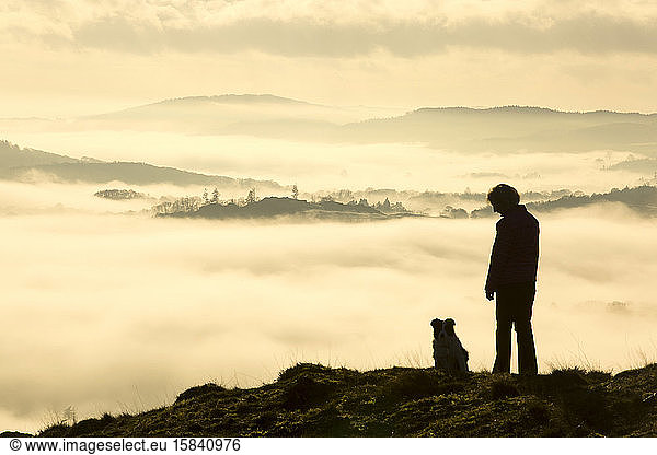 Looking down into the Hawkshead Valley above valley mist formed by a temperature inversion on Loughrigg  near Ambleside in the Lake District National Park  with a walker and dog.