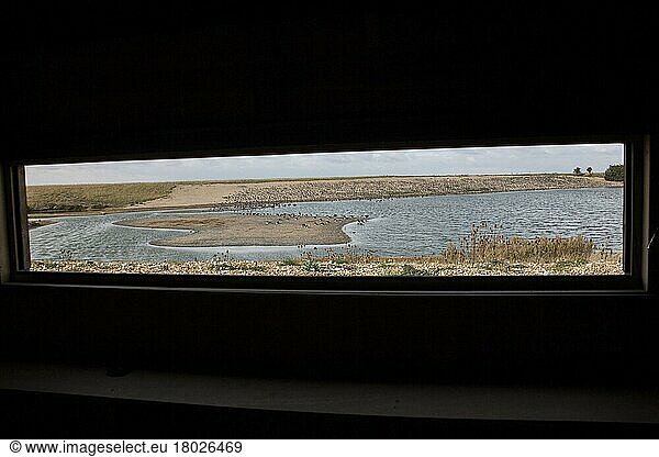 Looking out from Roost hide at RSPB Snettisham. Resting flock of mainly oystercatchers on the autumn high tide