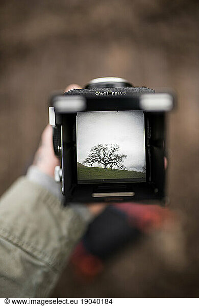 Looking through viewfinder of film camera