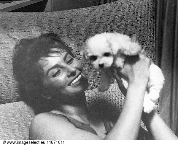 Loren  Sophia  * 20.9.1934  Italian actress  half length  with dog  1950s