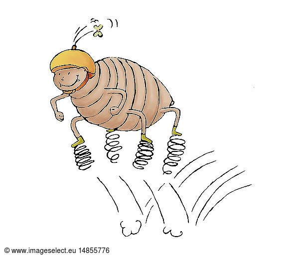 LOUSE DRAWING