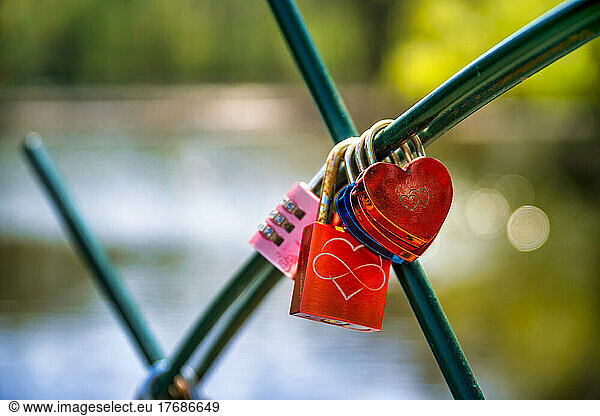 Love locks hanging on fence with lake in background