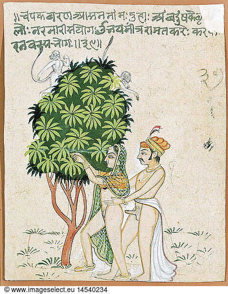 love  sex  eroticism  India  erotic painting  prince with his mistress in a park  having sex at a tree with monkeys on it  miniature painting  Rajasthan  19th century  lover  mogul  mughal  penis  couple  lovers  sexual intercourse  historic  historical  people