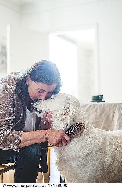 Loving senior woman combing cute dog while sitting at home
