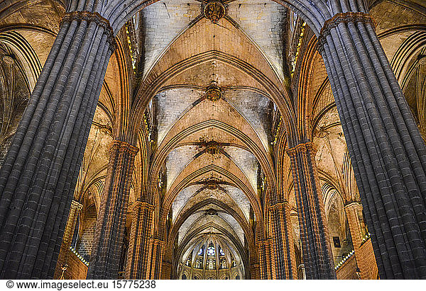 Low angle interior view of vaulting  Cathedral of the Holy Cross and Saint Eulalia  Barcelona  Catalonia  Spain.