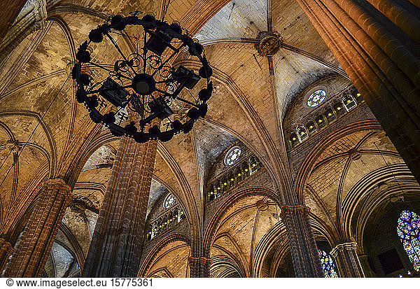 Low angle interior view of vaulting  Cathedral of the Holy Cross and Saint Eulalia  Barcelona  Catalonia  Spain.