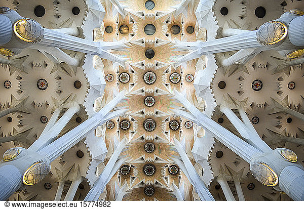 Low angle interior view of vaulting  Sagrada Familia  Barcelona  Catalonia  Spain.
