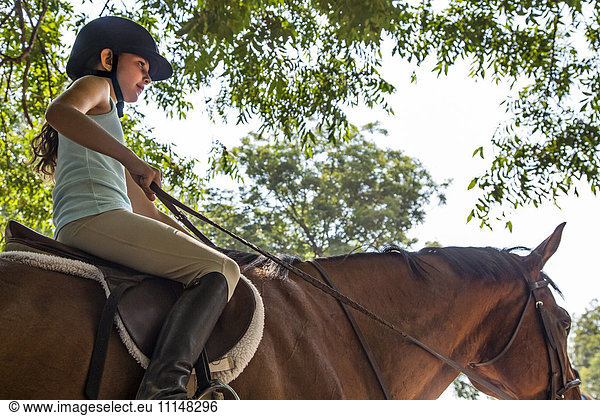 Low angle view of equestrian girl riding horse
